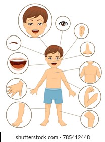 Illustration of a Kid Boy with Different Parts of the Body for Teaching
