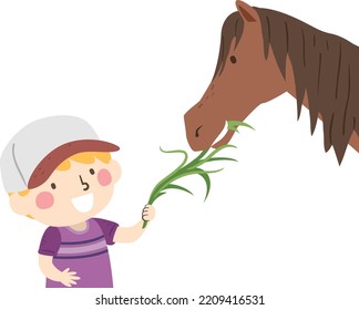 Illustration Of Kid Boy Feeding Grass To Horse In A Petting Zoo