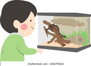 Illustration of a Kid Boy Looking at a Pet Snake Inside a Reptile Terrarium