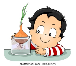 Illustration of a Kid Boy Observing a Growing Onion Plant on a Glass Container