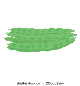 Illustration of the Kidney beans