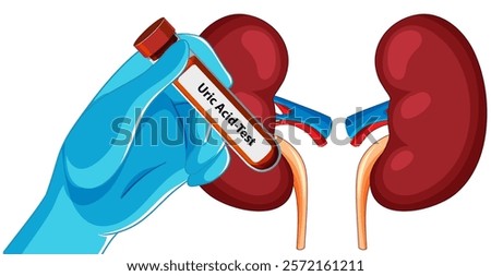 Illustration of kidneys and uric acid test tube