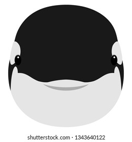 Illustration of the killer whale