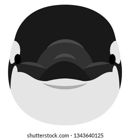 Illustration of the killer whale