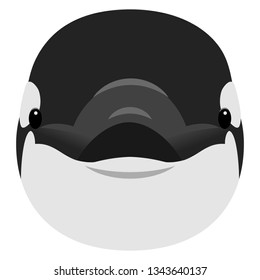 Illustration of the killer whale