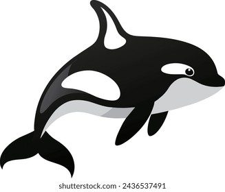 Illustration of a killer whale or killer whale on isolated white background