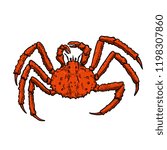 Illustration of King Crab isolated on white background. Design element for logo, label, emblem, sign, poster, menu, t shirt. Vector image