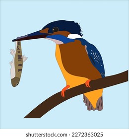 illustration of king prawn kingfisher which eats shrimp or small fish in the river