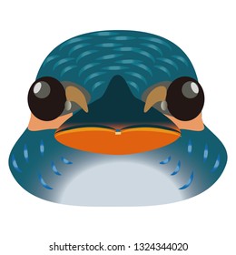 Illustration of the kingfisher