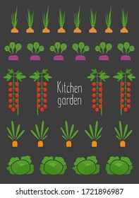 Illustration of the kitchen garden with the harvest