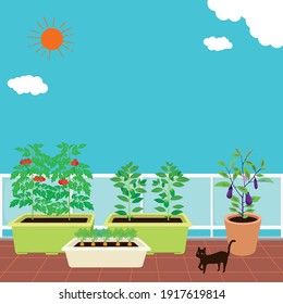 Illustration of a kitchen garden on the balcony.