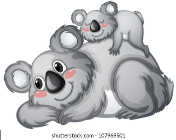 illustration of a koala bear on a white backgroundbackground