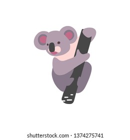 Illustration of koala isolated on a background. Flat vector drawing