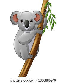 Illustration of koala on a tree branch