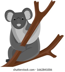 illustration of a koala sitting on a tree. endemic animal
