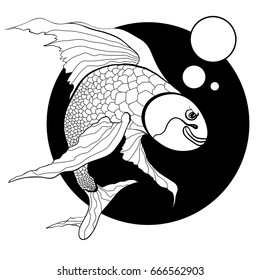 illustration of koi carp, fish. Vector.