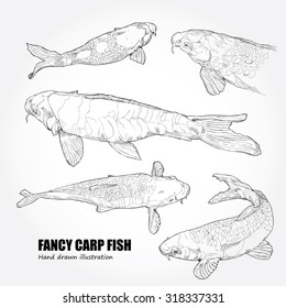 illustration of koi fish. drawing vector.