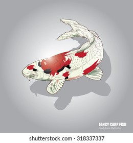 illustration of koi fish. drawing vector.