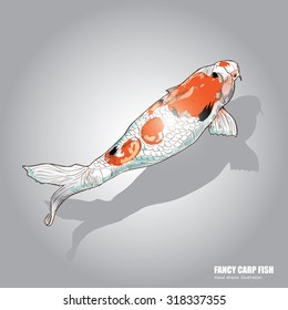 illustration of koi fish. drawing vector.