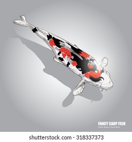 illustration of koi fish. drawing vector.