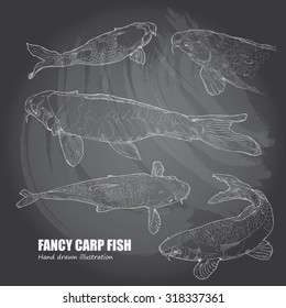 illustration of koi fish on chalkboard.