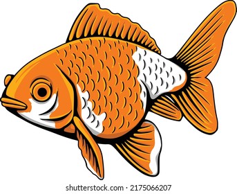 illustration a Koi fish vector