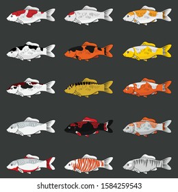 illustration koi fish vector design