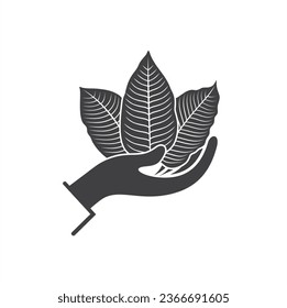 illustration of kratom extract, vector art.