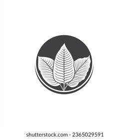 ilustración de kratom leaf, un tipo de planta de la familia rubiaceae.