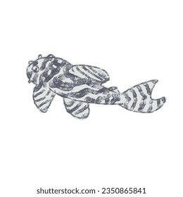 Illustration von L333-Plökofischen im Vektorformat