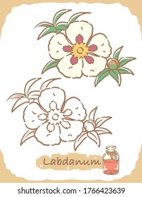 Ilustración del labdano y del frasco de aromaterapia. Ilustración vectorial.