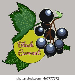 illustration of label with blackcurrant
