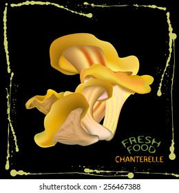 an illustration of a label of porcine mushrooms. With black background and grass, bright green ink splashes on the edges and fresh food porcine sign in the top left corner