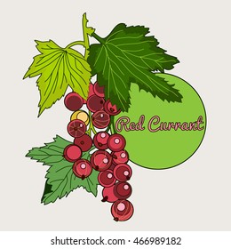 Illustration of label with red currants