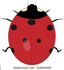 Illustration of a lady bug