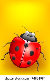 illustration of lady bug on abstract background