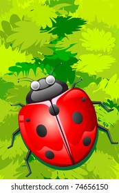 illustration of lady bug sitting on bunch of leaves