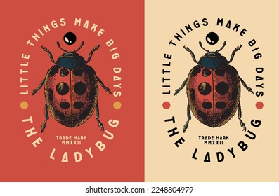 illustration of lady bug vector graphic. vintage and retro design concept for clothing, tshirt, streetwear, artwear, apparel, poster, emblem, etc
