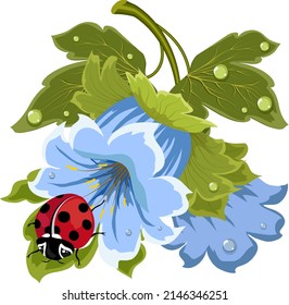 Illustration with a ladybug on a flower.Colored vector illustration with a ladybug and blue flowers on a transparent background.