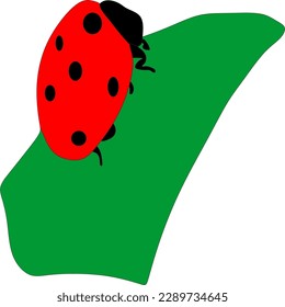 Illustration of ladybug on green leaf isolated on white