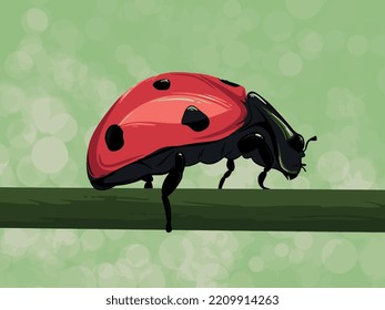 Illustration of Ladybug on stem