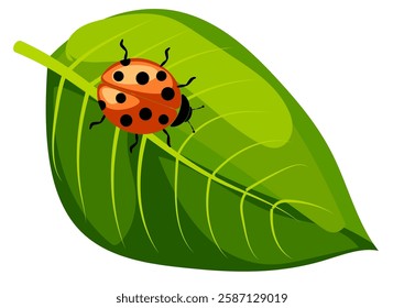 Illustration of a ladybug on a vibrant green leaf in a sunny garden setting