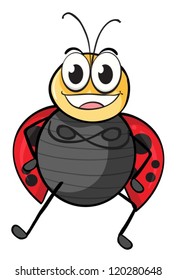 illustration of a ladybug on a white background