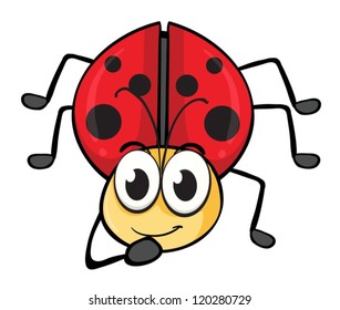 illustration of a ladybug on a white background