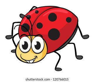 ilustración de un ladybug en un fondo blanco