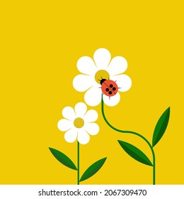 Illustration of a ladybug sitting on white flower