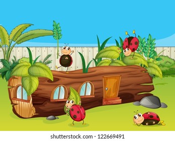 Illustration of ladybugs and a house in a beautiful nature