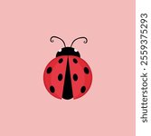 illustration of ladybugs on a red background
