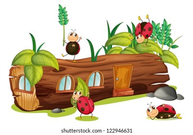 Illustration of ladybugs and a wood house on a white background
