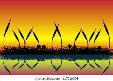 Illustration of lake  scene with grass silhouette at sunset
